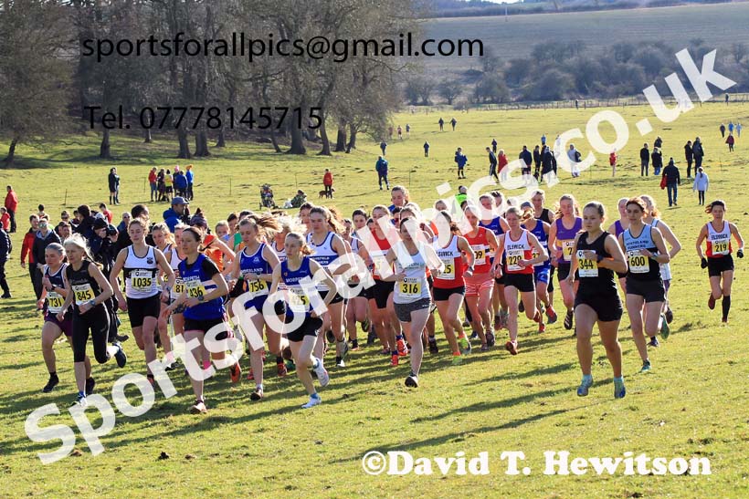 Senior womens 2023 NEHL, Thornley Farm, Peterlee, County Durham. Photo: David T. Hewitson/Sports for All Pics